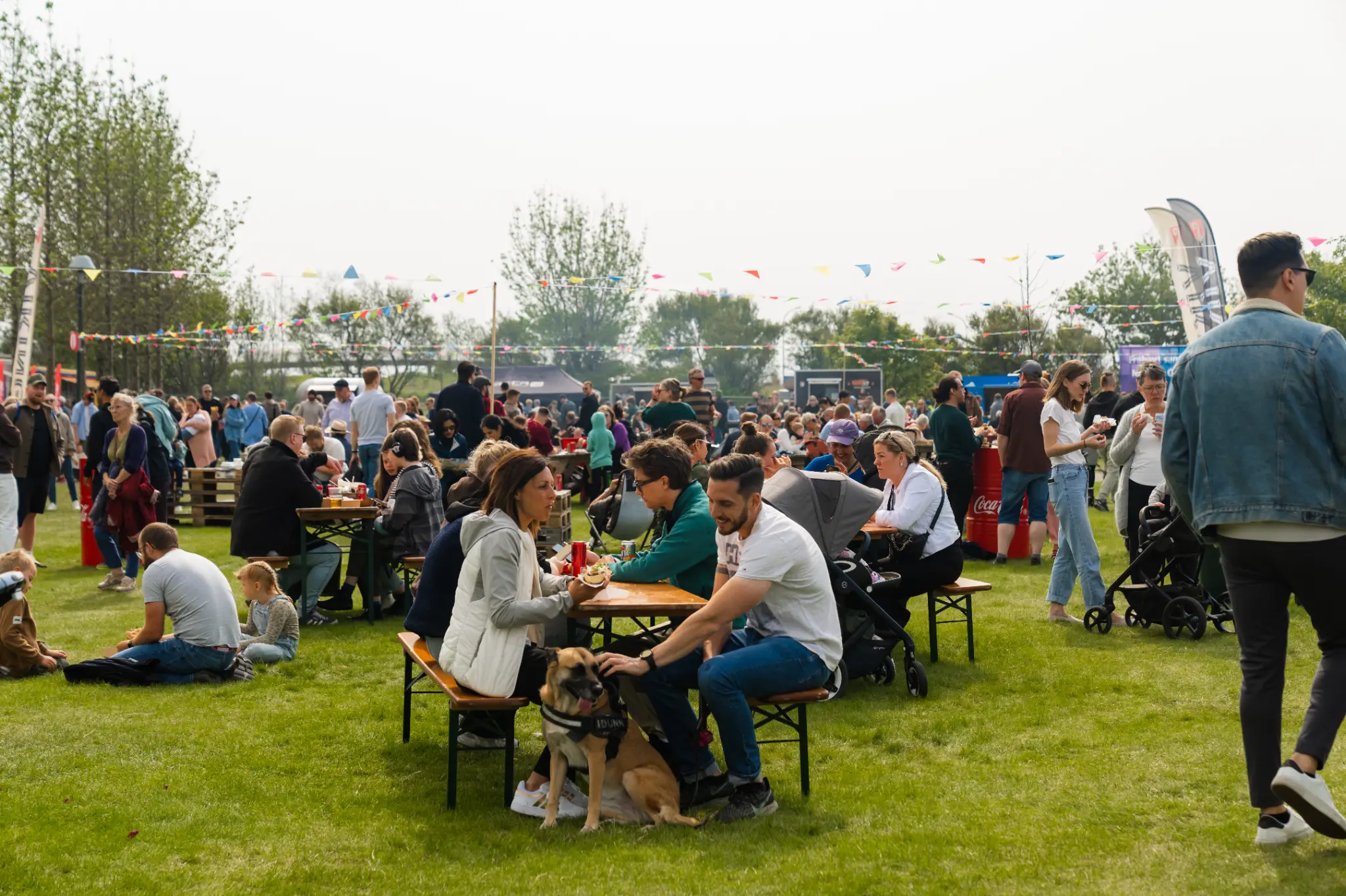 Aerial view of festival